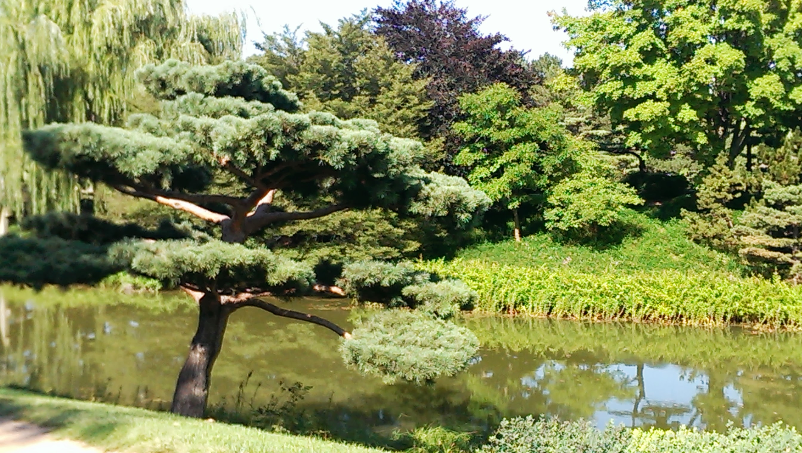 Chicago Botanic Garden